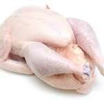 Processed Poultry Meat