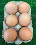 Jumbo Eggs - Image 2