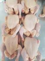Bulk Chicken Supply - Image 4